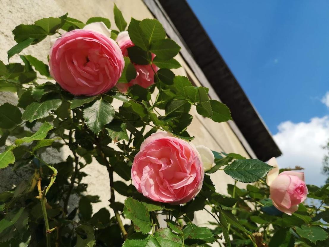Maison Le Rozet Les Gras Esterno foto